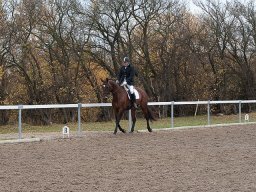 IMG_0414-149_web